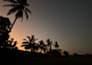do professional and stunning photography